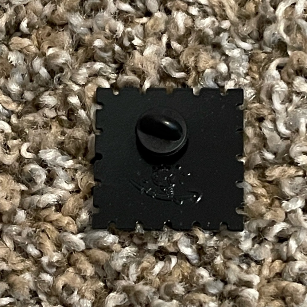 Amazon Pin - Picture 2 of 2